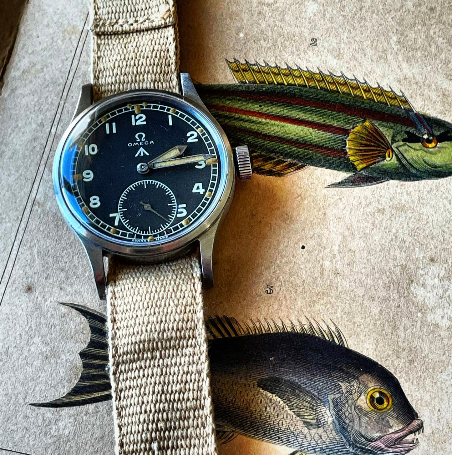 The original AF0210 watch strap in Khaki